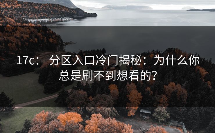 17c： 分区入口冷门揭秘：为什么你总是刷不到想看的？